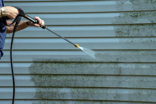 Best Roof Washing  in Mission, TX