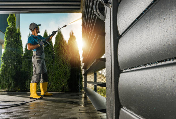 Best Sidewalk and Walkway Cleaning  in Mission, TX